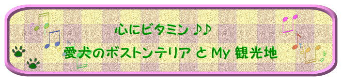 心にビタミン♪♪ 愛犬のボストンテリアとＭｙ観光地 